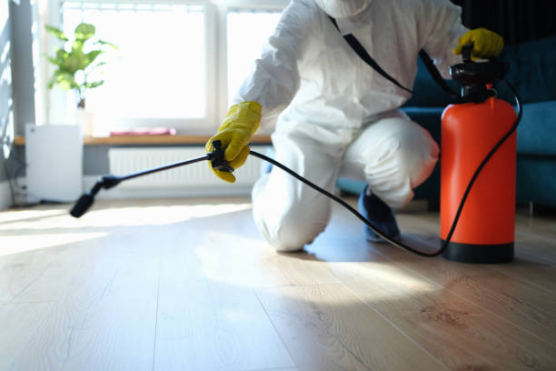 Pest Control Cost in Quitman, TX