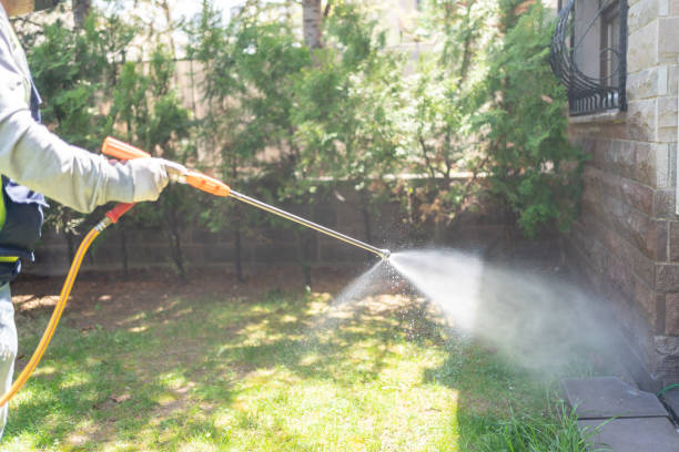 Best Wasp Removal Services  in Quitman, TX