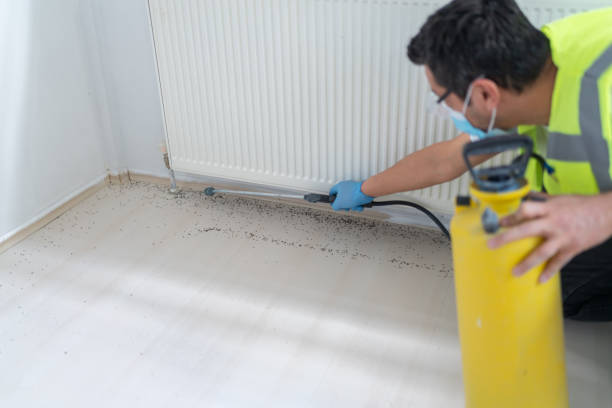 Best Emergency Pest Control  in Quitman, TX
